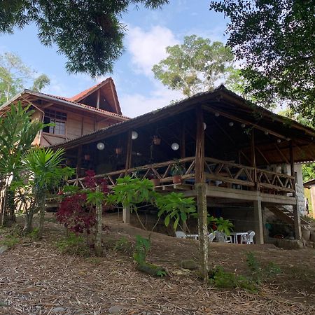 Playa Tortuga Daire Puerto Misahuallí Dış mekan fotoğraf