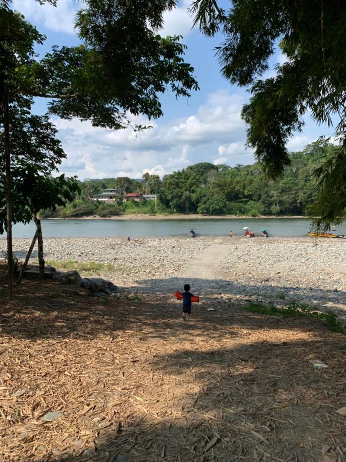 Playa Tortuga Daire Puerto Misahuallí Dış mekan fotoğraf