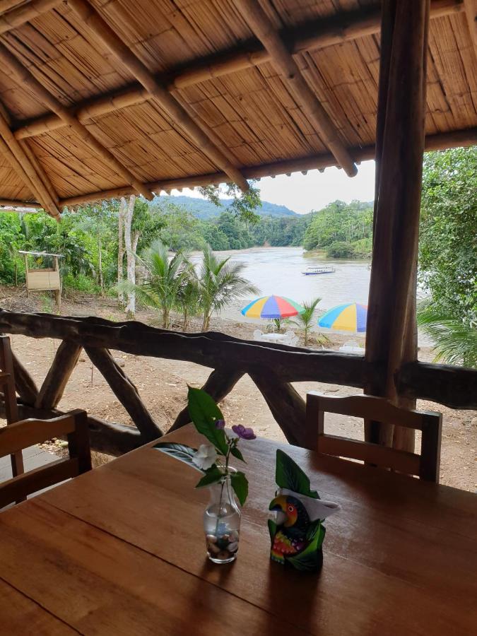 Playa Tortuga Daire Puerto Misahuallí Dış mekan fotoğraf