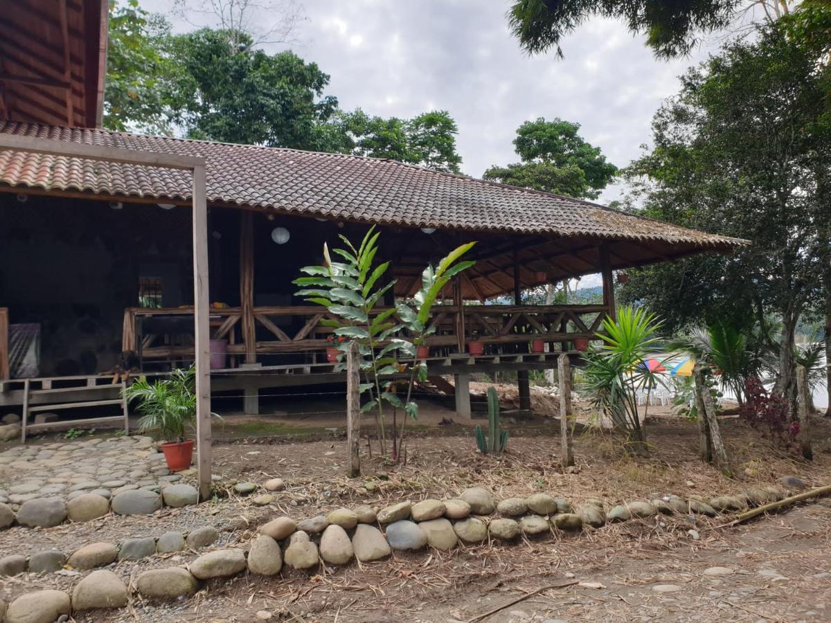 Playa Tortuga Daire Puerto Misahuallí Dış mekan fotoğraf