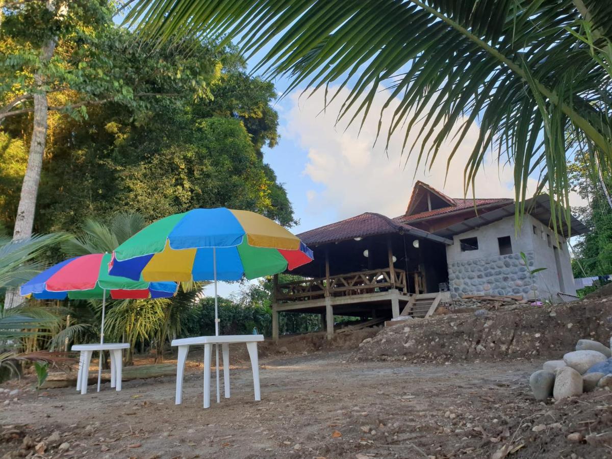 Playa Tortuga Daire Puerto Misahuallí Dış mekan fotoğraf