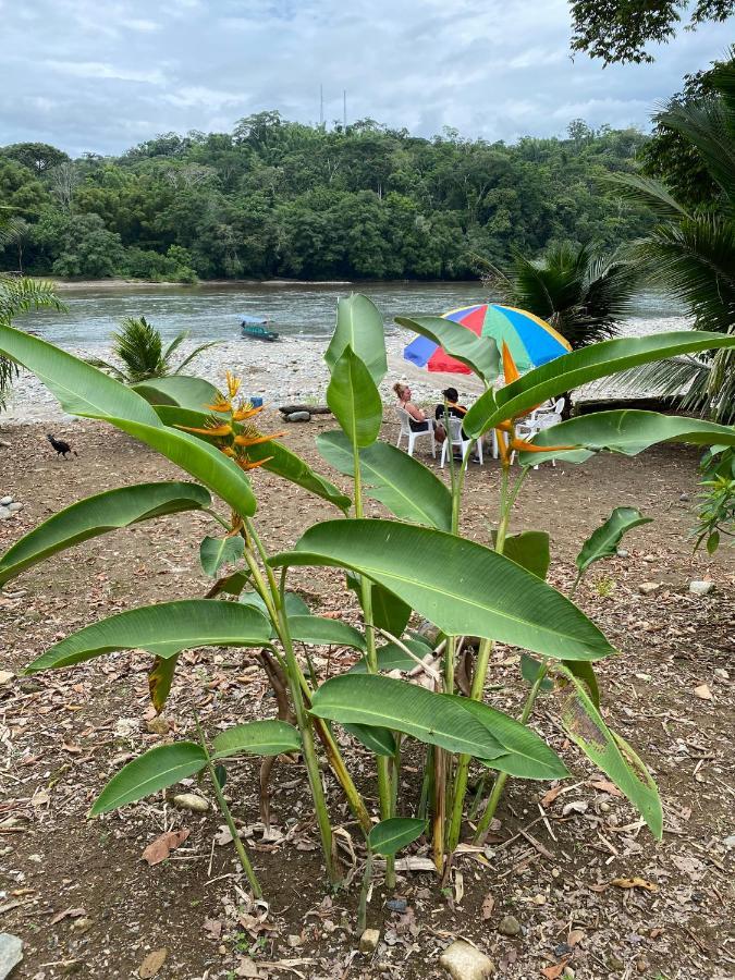 Playa Tortuga Daire Puerto Misahuallí Dış mekan fotoğraf