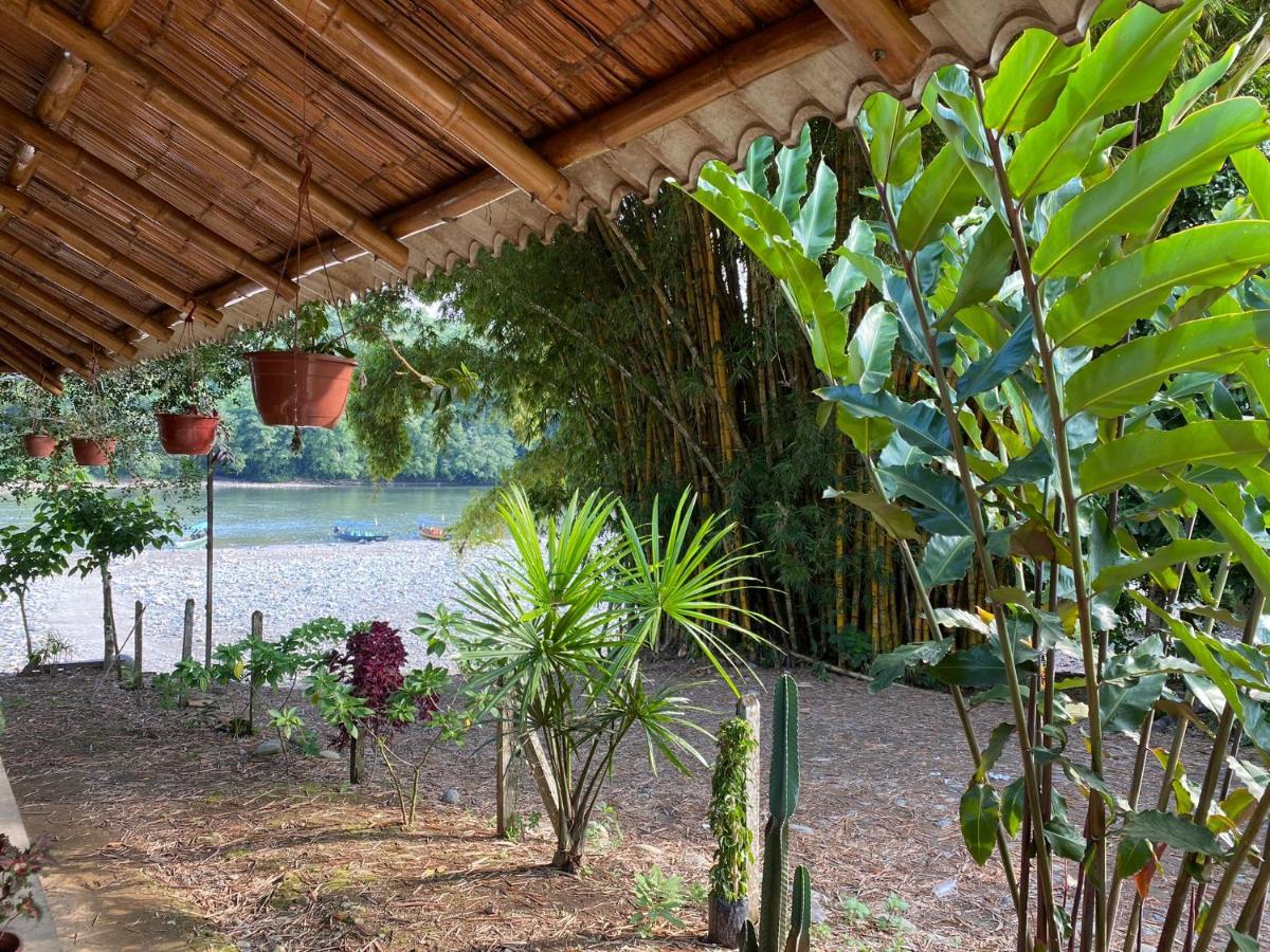 Playa Tortuga Daire Puerto Misahuallí Dış mekan fotoğraf