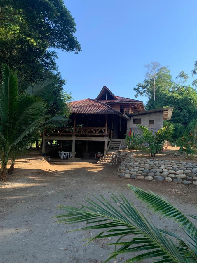 Playa Tortuga Daire Puerto Misahuallí Dış mekan fotoğraf