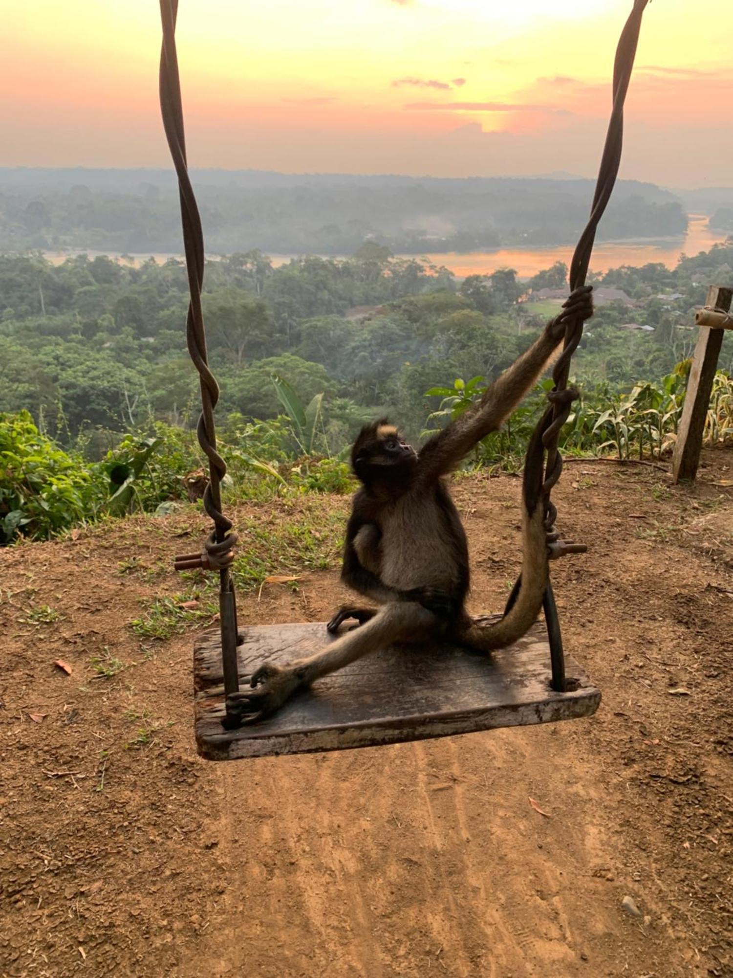 Playa Tortuga Daire Puerto Misahuallí Dış mekan fotoğraf